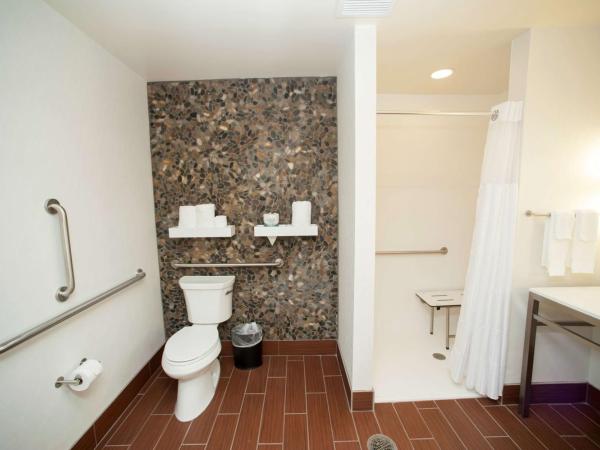 Hilton Garden Inn San Antonio-Live Oak Conference Center : photo 5 de la chambre chambre avec 2 lits queen-size - douche accessible en fauteuil roulant - accessible aux personnes à mobilité réduite