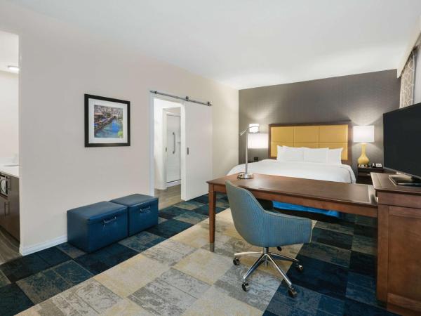 Hampton Inn & Suites San Antonio Brooks City Base, TX : photo 4 de la chambre suite studio lit king-size - non-fumeurs