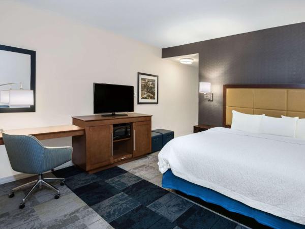 Hampton Inn & Suites San Antonio Brooks City Base, TX : photo 3 de la chambre chambre lit king-size standard - non-fumeurs
