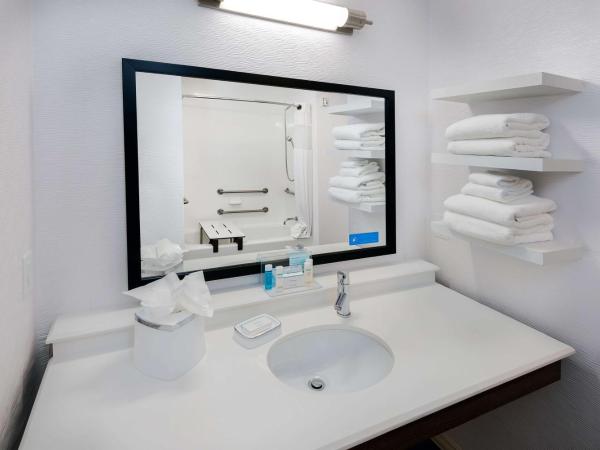 Hampton Inn & Suites San Antonio Brooks City Base, TX : photo 1 de la chambre chambre lit queen-size accessible aux personnes à mobilité réduite - non-fumeurs