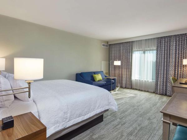 Hampton Inn & Suites Sacramento at CSUS : photo 3 de la chambre chambre lit king-size avec canapé-lit - non-fumeurs