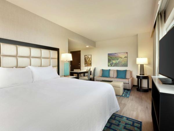 Embassy Suites By Hilton San Antonio Landmark : photo 3 de la chambre suite lit king-size - adaptée aux personnes malentendantes