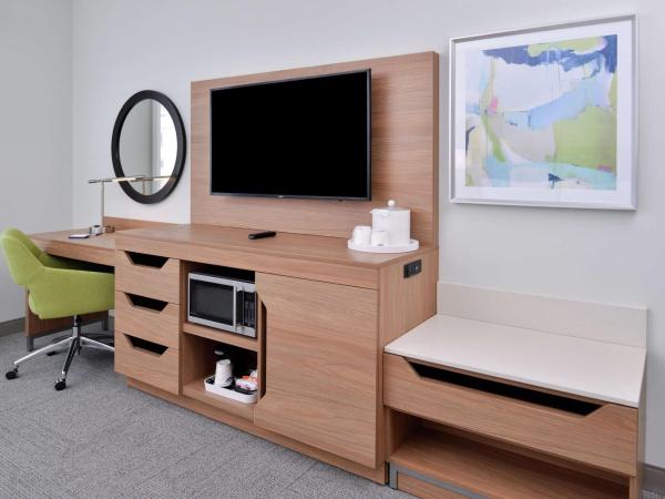 Hampton Inn Tampa Downtown Channel District : photo 2 de la chambre chambre lit king-size avec douche accessible en fauteuil roulant -adaptée aux personnes à mobilité réduite/malentendantes - non-fumeurs