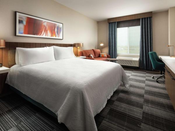 Hilton Garden Inn Sacramento Airport Natomas : photo 1 de la chambre chambre lit king-size - pour personnes malentendantes