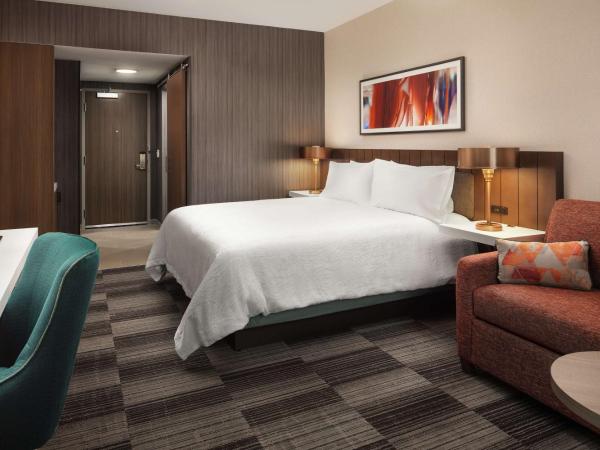 Hilton Garden Inn Sacramento Airport Natomas : photo 2 de la chambre chambre lit king-size - pour personnes malentendantes