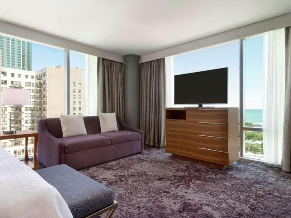 Homewood Suites By Hilton Chicago Downtown South Loop : photo 5 de la chambre king studio corner suite - non-smoking