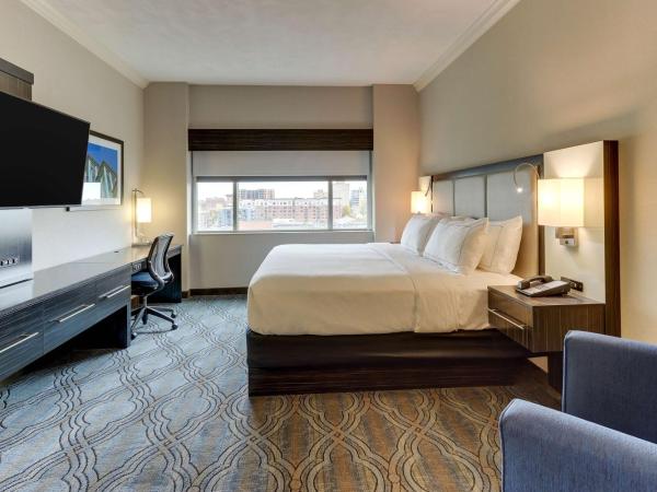 DoubleTree by Hilton St. Louis Forest Park : photo 3 de la chambre suite lit king-size