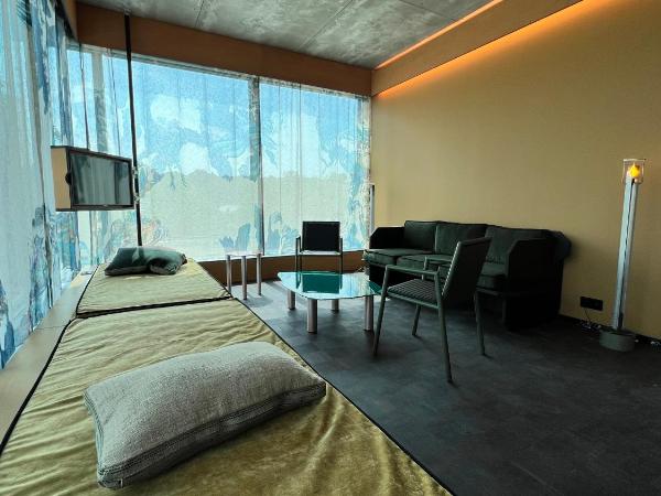 Mix Brussels --Gym & Wellness for adults only-- : photo 7 de la chambre suite 60 panorama