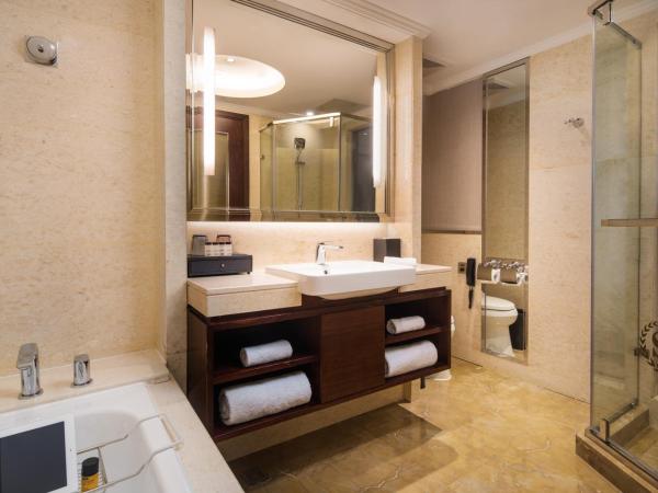 Sheraton Nanjing Kingsley Hotel & Towers : photo 2 de la chambre grande chambre lits jumeaux avec 2 lits jumeaux/simples - vue sur ville