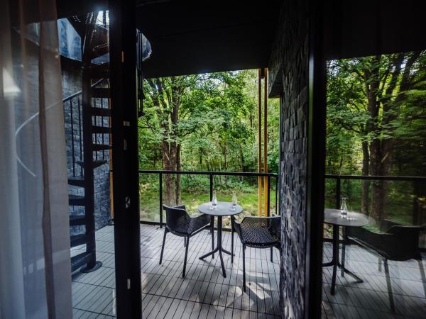 Green Adults : photo 1 de la chambre appartement avec terrasse