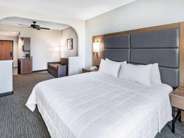 Wingate by Wyndham Houston Bush Intercontinental Airport : photo 1 de la chambre suite studio lit king-size - non-fumeurs