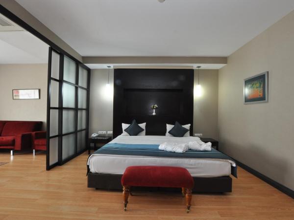 The Hotel Beyaz Saray & Spa - Special Category : photo 1 de la chambre suite familiale avec vue sur la ville