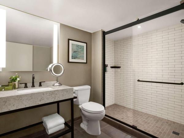 Hotel Alba Tampa, Tapestry Collection By Hilton : photo 2 de la chambre suite lit king-size - vue sur piscine