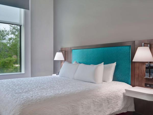 Hampton Inn & Suites Tampa Riverview Brandon : photo 3 de la chambre suite studio lit king-size - non-fumeurs