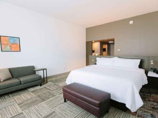 Hilton Garden Inn Winter Park, FL : photo 3 de la chambre chambre lit king-size deluxe