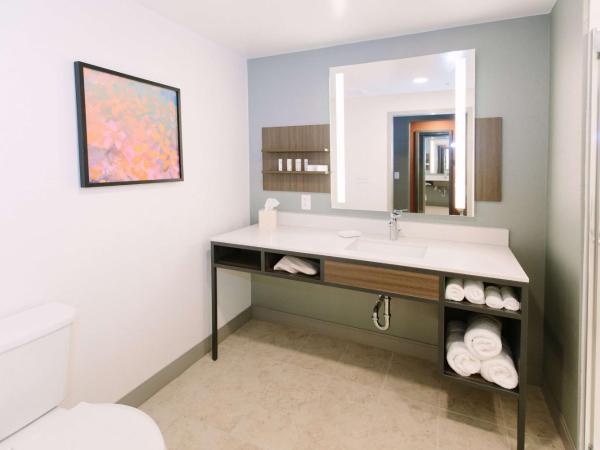 Hilton Garden Inn Winter Park, FL : photo 7 de la chambre chambre lit king-size deluxe