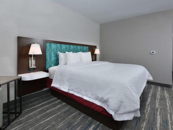 Hampton Inn & Suites Charlotte North I 485 : photo 9 de la chambre chambre lit king-size