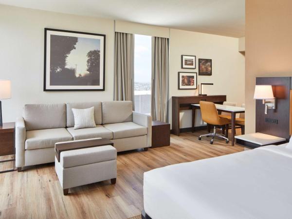 Embassy Suites by Hilton Nashville Downtown : photo 4 de la chambre studio lit king-size - vue sur ville