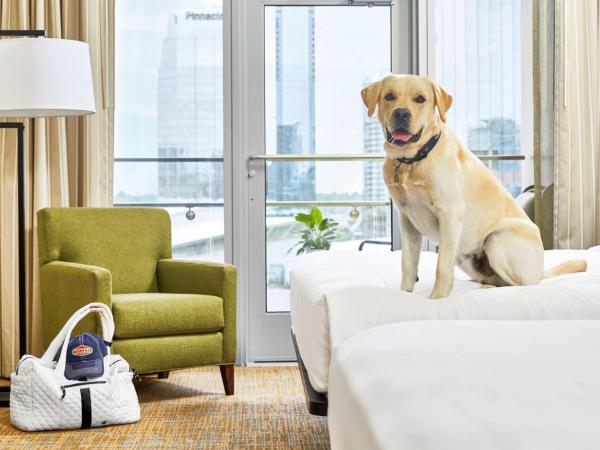 Embassy Suites by Hilton Nashville Downtown : photo 6 de la chambre suite 2 chambres lits king-size avec balcon