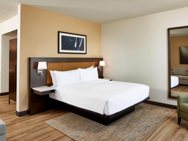 Embassy Suites by Hilton Nashville Downtown : photo 3 de la chambre suite studio lit king-size
