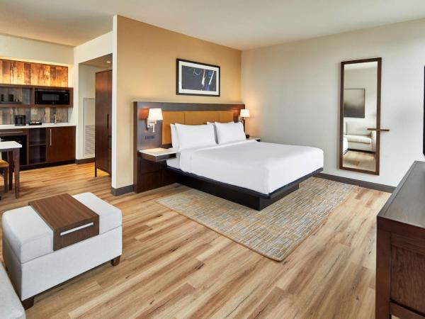 Embassy Suites by Hilton Nashville Downtown : photo 5 de la chambre suite studio lit king-size