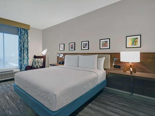 Hilton Garden Inn Houston Medical Center, TX : photo 3 de la chambre chambre lit king-size