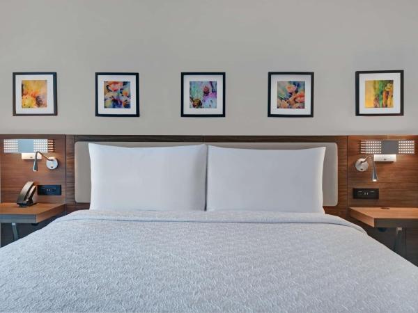 Hilton Garden Inn Houston Medical Center, TX : photo 5 de la chambre chambre lit king-size