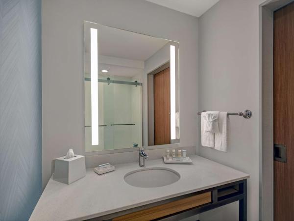 Hilton Garden Inn Houston Medical Center, TX : photo 6 de la chambre chambre lit king-size