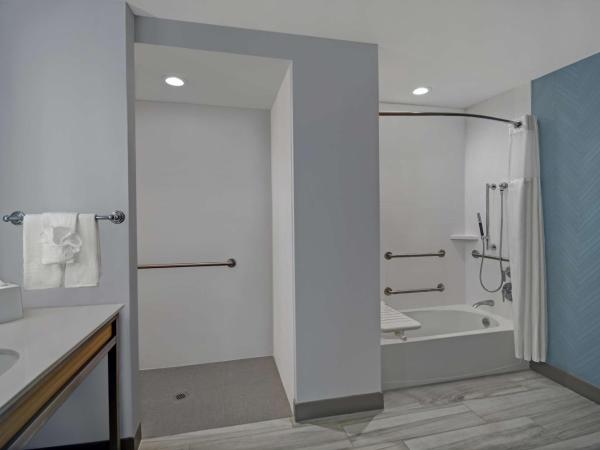 Hilton Garden Inn Houston Medical Center, TX : photo 4 de la chambre chambre lit king-size avec baignoire accessible aux personnes à mobilité réduite