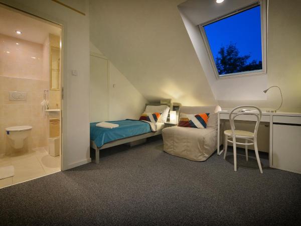 A. V. Pension Praha : photo 2 de la chambre chambre simple avec salle de bains privative