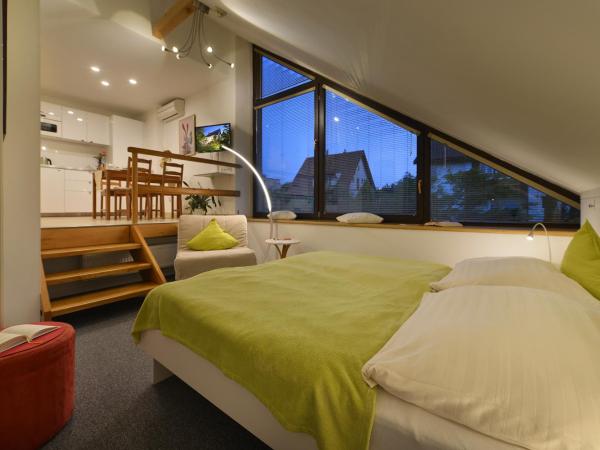 A. V. Pension Praha : photo 8 de la chambre studio - split level with free parking