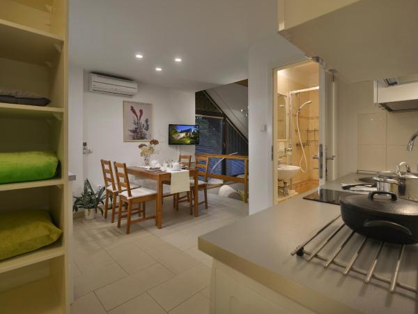A. V. Pension Praha : photo 3 de la chambre studio - split level with free parking