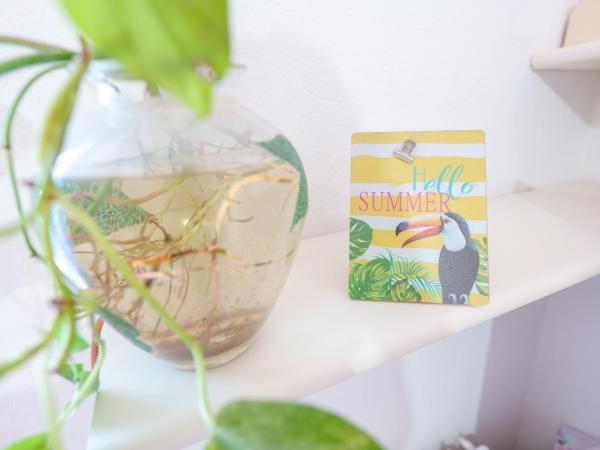 B&B POTHOS - ENG ITA - Air Conditioning Wi-Fi Fridge Netflix Local Guide - Aria condizionata, frigo, internet, guida locale : photo 6 de la chambre chambre lits jumeaux spacieuse