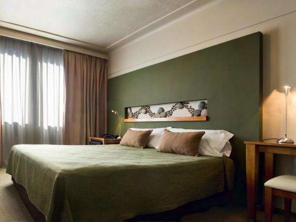 Hotel Raices Aconcagua : photo 1 de la chambre chambre double classique
