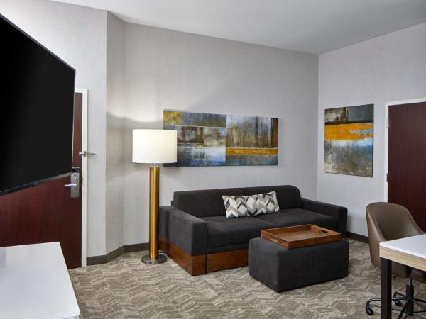 SpringHill Suites Memphis Downtown : photo 1 de la chambre grand studio king