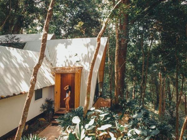 Lannawild : photo 5 de la chambre villa 2 chambres :