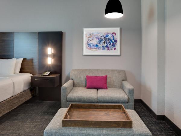 Crowne Plaza Hotel & Resorts Fort Lauderdale Airport/ Cruise, an IHG Hotel : photo 3 de la chambre chambre lit king-size standard avec douche accessible en fauteuil roulant - adaptée aux personnes à mobilité réduite