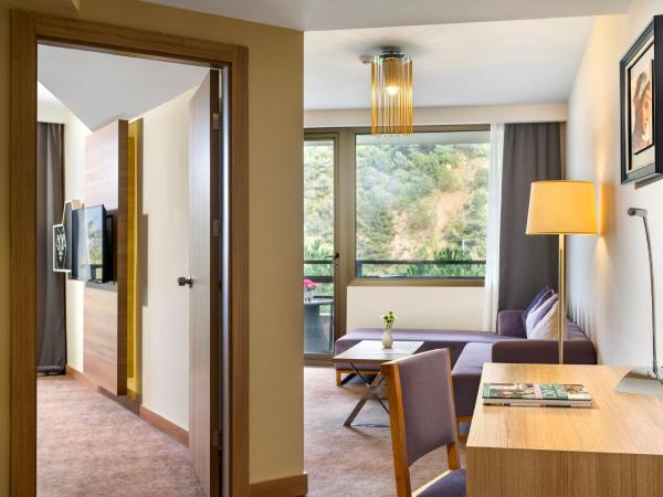 Kaya Izmir Thermal & Convention : photo 3 de la chambre suite junior