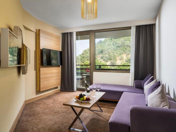 Kaya Izmir Thermal & Convention : photo 4 de la chambre suite junior