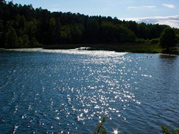 Bed&Breakfast in nature 12 min from city free bikes : photo 4 de la chambre petite chambre double