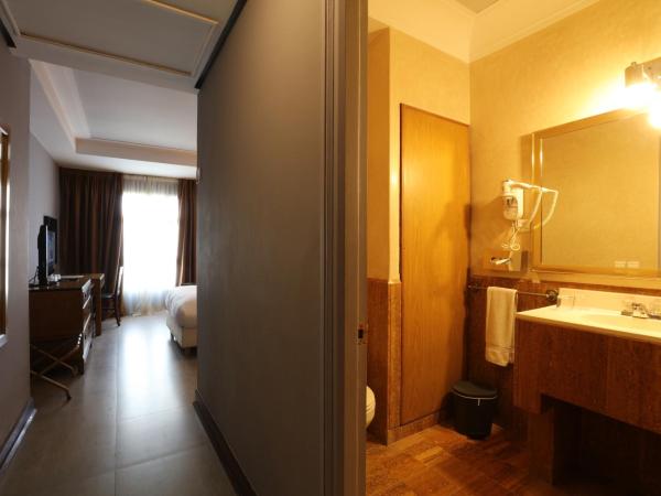 Hôtel Les Saisons : photo 5 de la chambre chambre simple