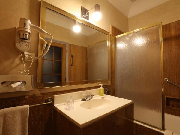 Hôtel Les Saisons : photo 7 de la chambre chambre simple