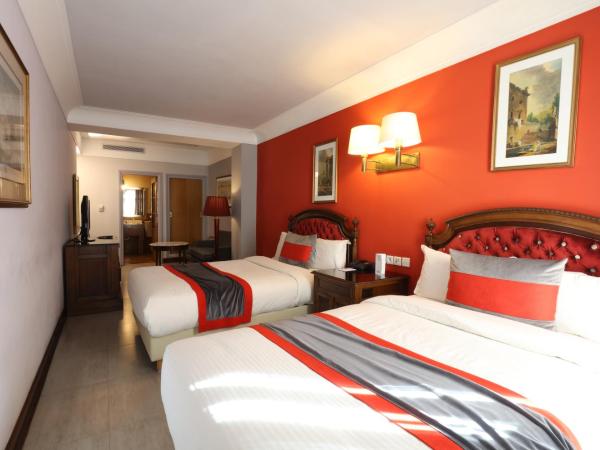 Hôtel Les Saisons : photo 2 de la chambre chambre lits jumeaux