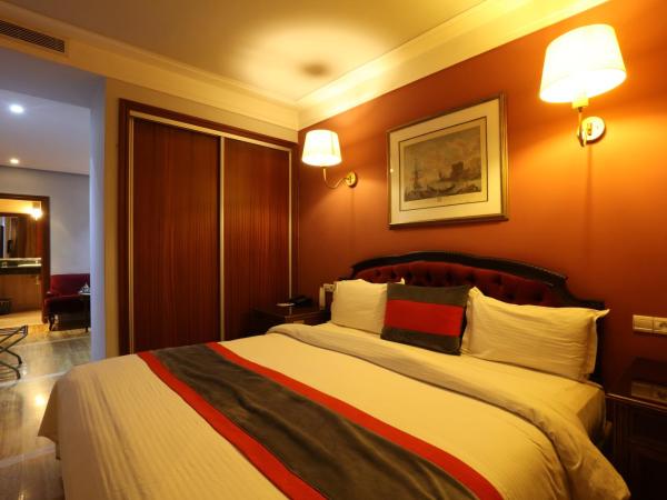 Hôtel Les Saisons : photo 5 de la chambre suite junior