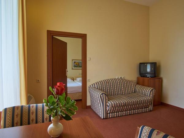 Hotel Vila Ružica- glavna zgrada i depandanse : photo 3 de la chambre suite junior avec balcon