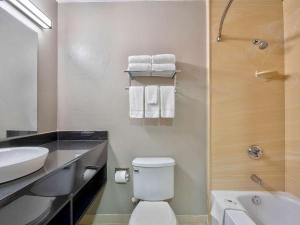 Studio 6-San Antonio, TX - Six Flags : photo 4 de la chambre chambre lit queen-size - non-fumeurs