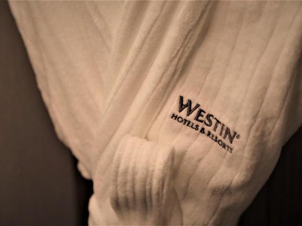 The Westin Nanjing Resort & Spa : photo 2 de la chambre chambre lits jumeaux deluxe