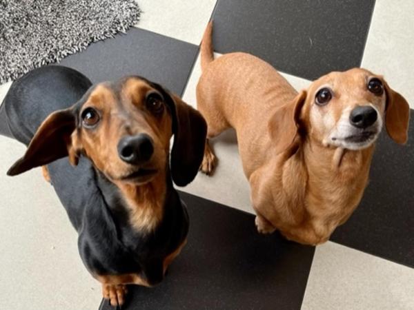 Kurrajong House : photo 1 de la chambre chambre lit king-size newton
