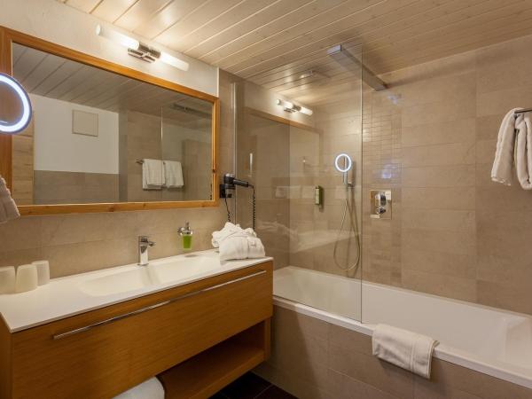 22 Summits Apartments : photo 8 de la chambre appartement (3 adultes)