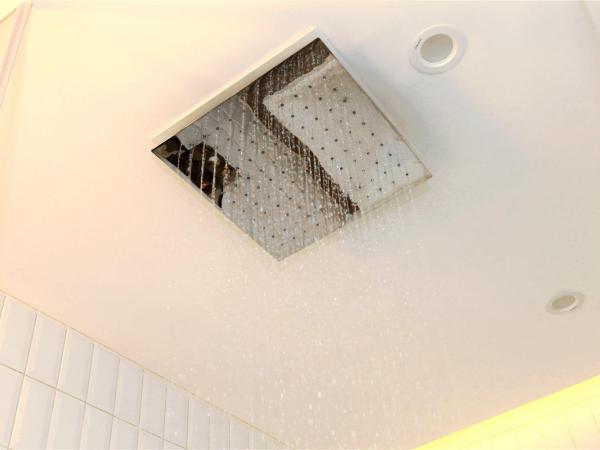 David's Deer Hotel : photo 6 de la chambre chambre lit queen-size